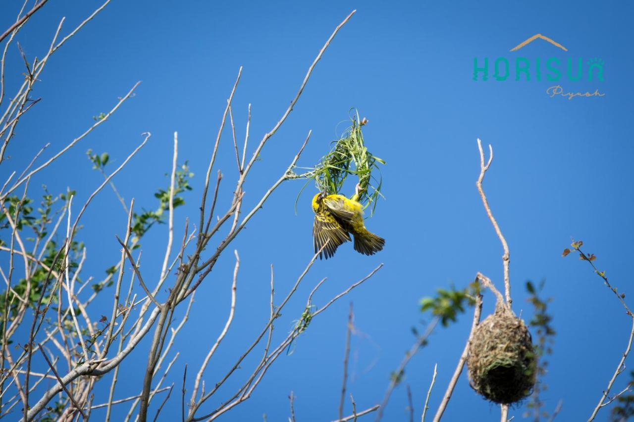דירות בל מארה Horisun מראה חיצוני תמונה