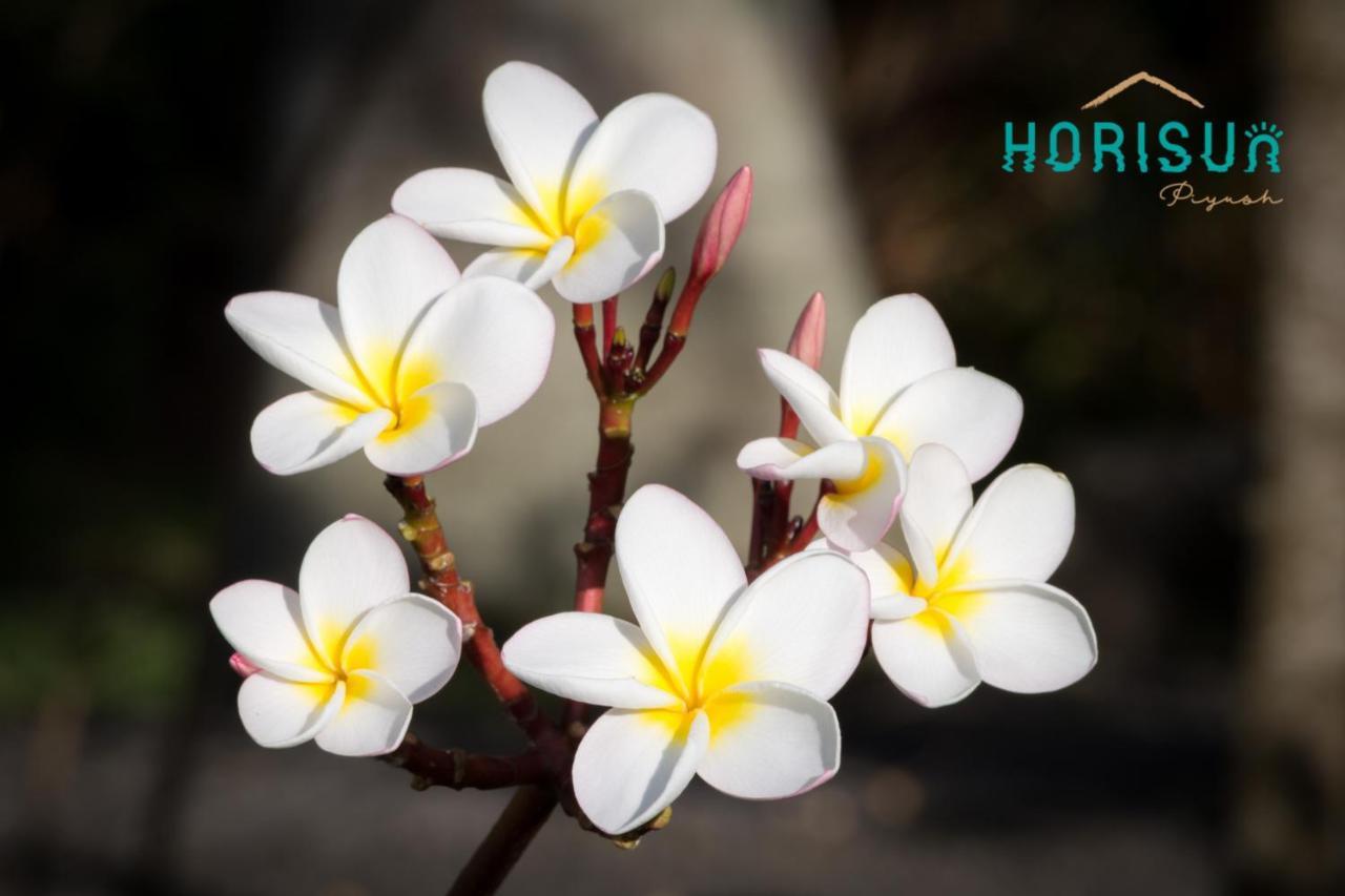 דירות בל מארה Horisun מראה חיצוני תמונה